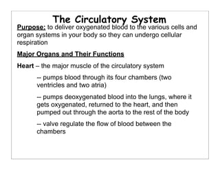 The Circulatory System
Purpose: to deliver oxygenated blood to the various cells and
organ systems in your body so they can undergo cellular
respiration
Major Organs and Their Functions
Heart – the major muscle of the circulatory system
-- pumps blood through its four chambers (two
ventricles and two atria)
-- pumps deoxygenated blood into the lungs, where it
gets oxygenated, returned to the heart, and then
pumped out through the aorta to the rest of the body
-- valve regulate the flow of blood between the
chambers
 