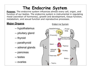 The Endocrine System
Purpose: The endocrine system influences almost every cell, organ, and
function of our bodies. The endocrine system is instrumental in regulating
mood (secretion of hormones), growth and development, tissue function,
metabolism, and sexual function and reproductive processes.
Major Organs
-- hypothalamus
-- pituitary gland
-- thyroid
-- parathyroid
-- adrenal glands
-- pancreas
-- testes
-- ovaries
 