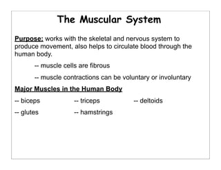 The Muscular System
Purpose: works with the skeletal and nervous system to
produce movement, also helps to circulate blood through the
human body.
-- muscle cells are fibrous
-- muscle contractions can be voluntary or involuntary
Major Muscles in the Human Body
-- biceps -- triceps -- deltoids
-- glutes -- hamstrings
 