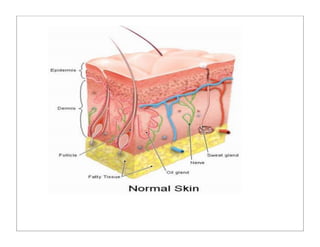 humanbodysystems_ppt.pdf