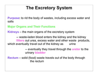 The Excretory System
Purpose: to rid the body of wastes, including excess water and
salts
Major Organs and Their Functions
Kidneys – the main organs of the excretory system
-- waste-laden blood enters the kidney and the kidney
filters out urea, excess water and other waste products,
which eventually travel out of the kidney as urine
-- eventually they travel through the ureter to the
urinary bladder
Rectum – solid (food) waste travels out of the body through
the rectum
 