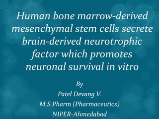 Human bone marrow-derived
mesenchymal stem cells secrete
  brain-derived neurotrophic
    factor which promotes
   neuronal survival in vitro
                By
          Patel Devang V.
     M.S.Pharm (Pharmaceutics)
        NIPER-Ahmedabad
 