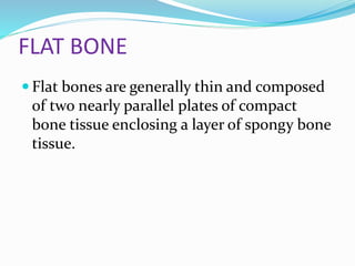 Parallel Medium Bone Human bones | PPTX
