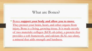 What are Bones?
• Bones support your body and allow you to move.
They protect your brain, heart, and other organs from
injury. Bone is a living, growing tissue. It is made mostly
of two materials: collagen (KOL-uh-juhn), a protein that
provides a soft framework, and calcium (KAL-see-uhm),
a mineral that adds strength and hardness.
 