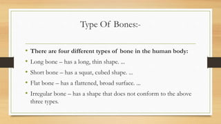 Type Of Bones:-
• There are four different types of bone in the human body:
• Long bone – has a long, thin shape. ...
• Short bone – has a squat, cubed shape. ...
• Flat bone – has a flattened, broad surface. ...
• Irregular bone – has a shape that does not conform to the above
three types.
 