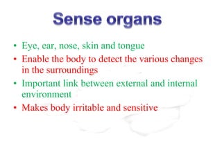 • Eye, ear, nose, skin and tongue
• Enable the body to detect the various changes
  in the surroundings
• Important link between external and internal
  environment
• Makes body irritable and sensitive
 