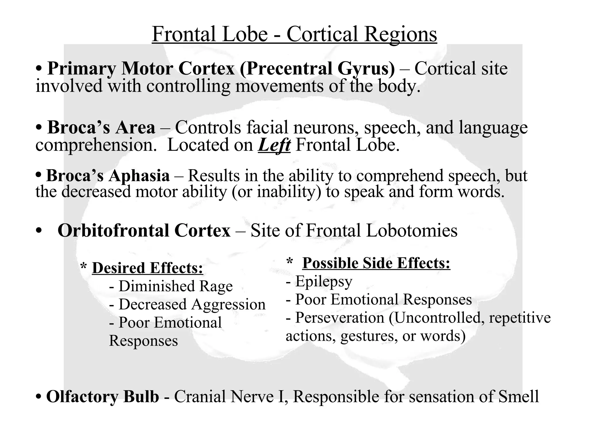 Frontal Lobe - Cortical Regions Orbitofrontal Cortex  – Site of Frontal Lobotomies Primary Motor Cortex (Precentral Gyrus)  – Cortical site involved with controlling movements of the body. Broca’s Area  – Controls facial neurons, speech, and language comprehension.  Located on  Left  Frontal Lobe. Broca’s Aphasia  – Results in the ability to comprehend speech, but the decreased motor ability (or inability) to speak and form words. Olfactory Bulb  - Cranial Nerve I, Responsible for sensation of Smell *  Desired Effects: - Diminished Rage - Decreased Aggression - Poor Emotional Responses *  Possible Side Effects: - Epilepsy - Poor Emotional Responses - Perseveration (Uncontrolled, repetitive actions, gestures, or words) 