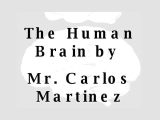 The Human Brain by  Mr. Carlos Martinez 