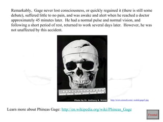 Remarkably, Gage never lost consciousness, or quickly regained it (there is still some
debate), suffered little to no pain, and was awake and alert when he reached a doctor
approximately 45 minutes later. He had a normal pulse and normal vision, and
following a short period of rest, returned to work several days later. However, he was
not unaffected by this accident.
Learn more about Phineas Gage: http://en.wikipedia.org/wiki/Phineas_Gage
Frontal
http://www.sruweb.com/~walsh/gage5.jpg
 