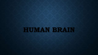 HUMAN BRAIN
 