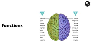 Human brain - Parts and Functions | PDF