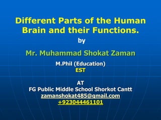 Different Parts of the Human
Brain and their Functions.
by
Mr. Muhammad Shokat Zaman
M.Phil (Education)
EST
AT
FG Public Middle School Shorkot Cantt
zamanshokat485@gmail.com
+923044461101
 