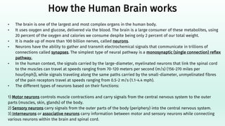Human brain understanding the complex structure | PPT