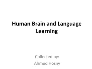 Human Brain and Language
Learning
Collected by:
Ahmed Hosny
 