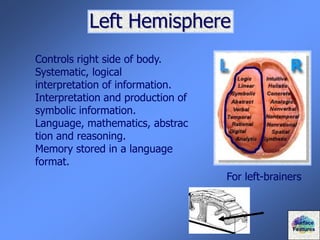 Left Hemisphere
For left-brainers
Controls right side of body.
Systematic, logical
interpretation of information.
Interpretation and production of
symbolic information.
Language, mathematics, abstrac
tion and reasoning.
Memory stored in a language
format.
Surface
Features
 