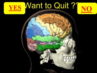 Want to Quit ??YES NO
 