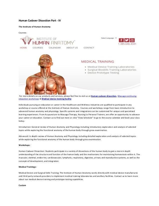 Human cadaver dissection part iv
