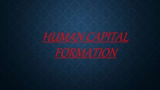 HUMAN CAPITAL
FORMATION
 