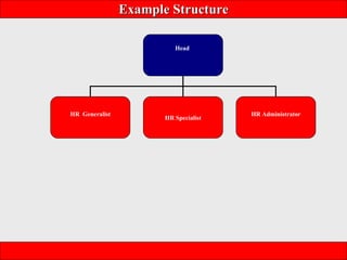 Example Structure Head  HR  Generalist HR Administrator HR Specialist 