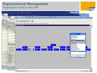 Organizational Management
Organization Chart in the SAP
 