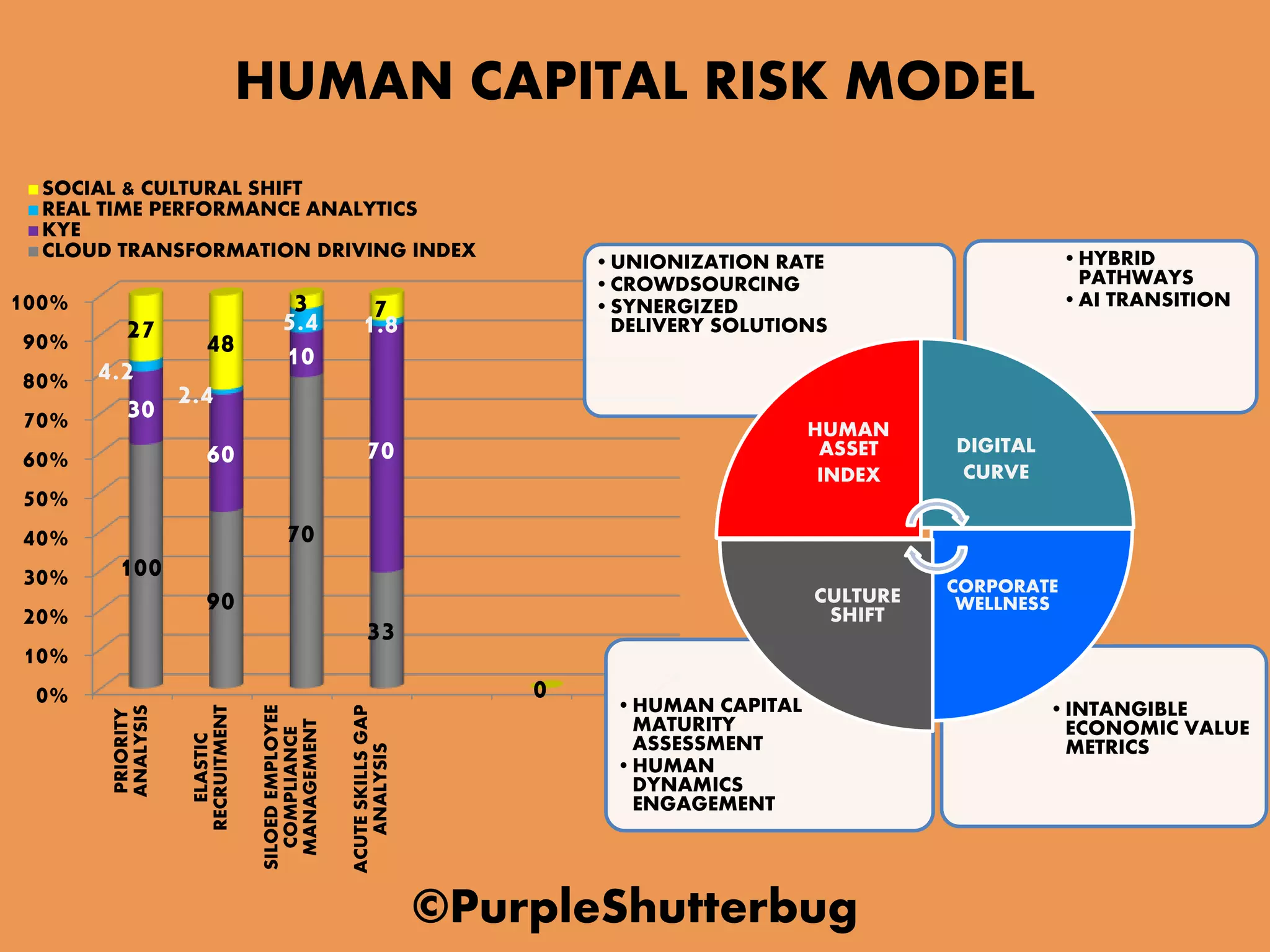 Human Capital Risk HUMAN CAPITAL RISK MODEL | PPTX