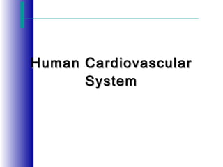 Human CardiovascularHuman Cardiovascular
SystemSystem
 