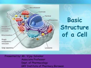 1
Basic
Structure
of a Cell
Presented by: Mr. Vijay Salvekar
Associate Professor
Dept. of Pharmacology
GRY Institute of Pharmacy,Borawan
 