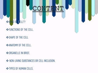 HUMAN CELL ANATOMY | PDF