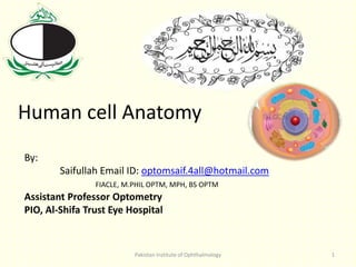 Human cell Anatomy
By:
Saifullah Email ID: optomsaif.4all@hotmail.com
FIACLE, M.PHIL OPTM, MPH, BS OPTM
Assistant Professor Optometry
PIO, Al-Shifa Trust Eye Hospital
Pakistan Institute of Ophthalmology 1
 