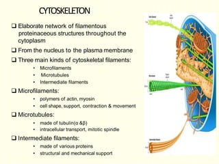 Human cell anatomy | PPTX