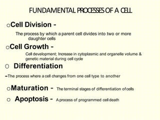 All Cell Process Human cell anatomy | PPTX