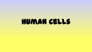 Human Cells
 