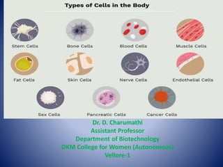 HUMAN CELL TYPES
Dr. D. Charumathi
Assistant Professor
Department of Biotechnology
DKM College for Women (Autonomous)
Vellore-1
 