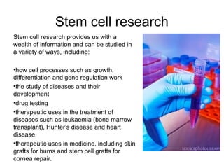 Stem cell research
Stem cell research provides us with a
wealth of information and can be studied in
a variety of ways, including:
•how cell processes such as growth,
differentiation and gene regulation work
•the study of diseases and their
development
•drug testing
•therapeutic uses in the treatment of
diseases such as leukaemia (bone marrow
transplant), Hunter’s disease and heart
disease
•therapeutic uses in medicine, including skin
grafts for burns and stem cell grafts for
cornea repair.
 
