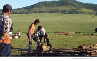 IMPROVING ACCESS TO ECONOMIC RESOURCES, MONGOLIA 
 