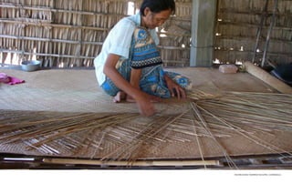 increasing farmer income, cambodia 
 