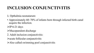 INCLUSION CONJUNCTIVITIS
1. Opthalmia neonatarum:
• Approximately 60–70% of infants born through infected birth canal
acquire the infection.
IP 6-21 days
Mucopurulent discharge
2. Adult inclusion conjunctivitis:
acute follicular conjunctivitis
Also called swimming pool conjunctivitis
 