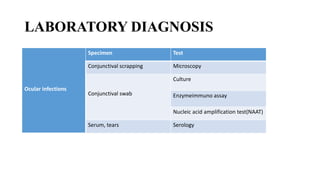 LABORATORY DIAGNOSIS
Ocular infections
Specimen Test
Conjunctival scrapping Microscopy
Conjunctival swab
Culture
Enzymeimmuno assay
Nucleic acid amplification test(NAAT)
Serum, tears Serology
 