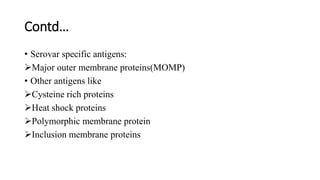 Contd…
• Serovar specific antigens:
Major outer membrane proteins(MOMP)
• Other antigens like
Cysteine rich proteins
Heat shock proteins
Polymorphic membrane protein
Inclusion membrane proteins
 
