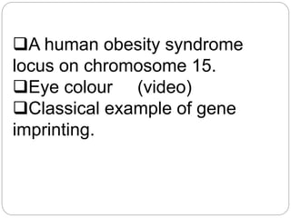 A human obesity syndrome
locus on chromosome 15.
Eye colour (video)
Classical example of gene
imprinting.
 