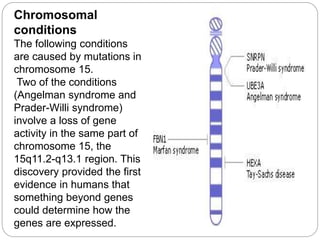 Chromosomal
conditions
The following conditions
are caused by mutations in
chromosome 15.
Two of the conditions
(Angelman syndrome and
Prader-Willi syndrome)
involve a loss of gene
activity in the same part of
chromosome 15, the
15q11.2-q13.1 region. This
discovery provided the first
evidence in humans that
something beyond genes
could determine how the
genes are expressed.
 