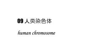 09 人类染色体
human chromosome
 