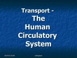 Transport -
                     The
                   Human
                 Circulatory
                   System
03/14/12 23:09       cottingham
 