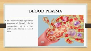 BLOOD PLASMA
• Is a straw colored liquid that
contents all blood cells in
suspension., so it is the
extracelular matrix of blood
cells.
 