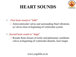 HEART SOUNDS
• First heart sound or “lubb”
– Atrioventricular valves and surrounding fluid vibrations
as valves close at beginning of ventricular systole
• Second heart sound or “dupp”
– Results from closure of aortic and pulmonary semilunar
valves at beginning of ventricular diastole, lasts longer
www.yogalife.co.in
 