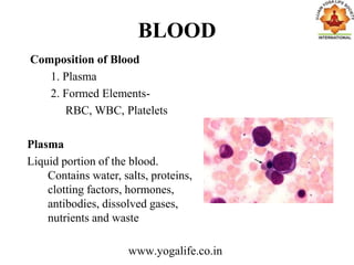 BLOOD
Composition of Blood
1. Plasma
2. Formed Elements-
RBC, WBC, Platelets
Plasma
Liquid portion of the blood.
Contains water, salts, proteins,
clotting factors, hormones,
antibodies, dissolved gases,
nutrients and waste
www.yogalife.co.in
 