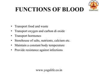 FUNCTIONS OF BLOOD
• Transport food and waste
• Transport oxygen and carbon di oxide
• Transport hormones
• Storehouse of salts, nutrients, calcium etc.
• Maintain a constant body temperature
• Provide resistance against infections
www.yogalife.co.in
 