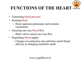FUNCTIONS OF THE HEART
• Generating blood pressure
• Routing blood
– Heart separates pulmonary and systemic
circulations
• Ensuring one-way blood flow
– Heart valves ensure one-way flow
• Regulating blood supply
– Changes in contraction rate and force match blood
delivery to changing metabolic needs
www.yogalife.co.in
 
