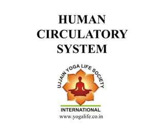 HUMAN
CIRCULATORY
SYSTEM
www.yogalife.co.in
 