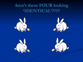 Aren’t these FOUR looking ‘IDENTICAL’???? 